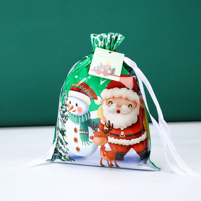 30-Piece Holiday Gift Bag & Tags Set