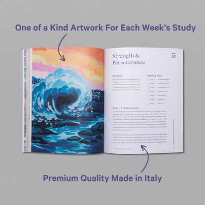 A Beautiful Year in the Bible – A 52-Week Bible Study for Women (Softcover)