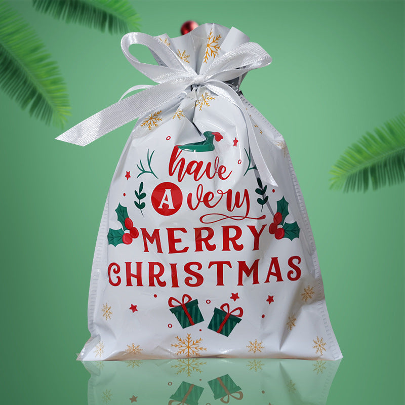 30-Piece Holiday Gift Bag & Tags Set