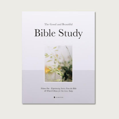 Bible Study Volume 1 | Guided Spiritual Devotional with Daily Prayers, Reflections & Contemplative Artwork | Perfect Christian Gift for Men