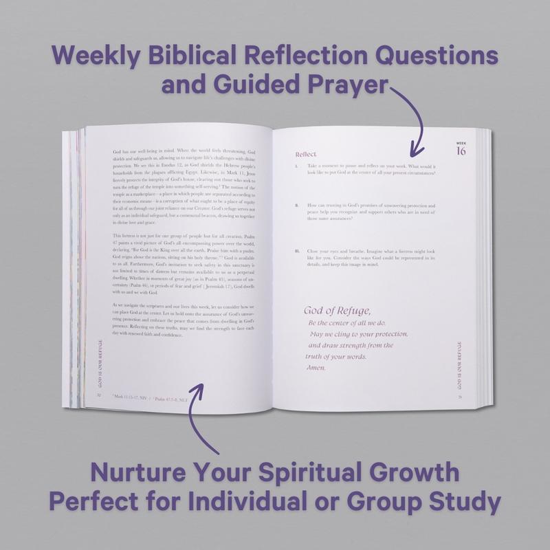 A Beautiful Year in the Bible – A 52-Week Bible Study for Women (Softcover)