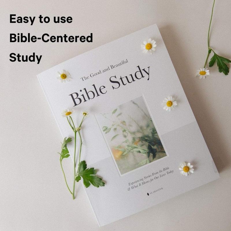 Bible Study Volume 1 | Guided Spiritual Devotional with Daily Prayers, Reflections & Contemplative Artwork | Perfect Christian Gift for Men