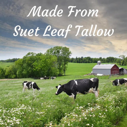 No Essential Oils -Tallow & HoneyBalm